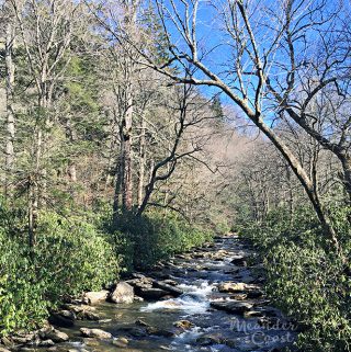 What to expect on your Smoky Mountains vacation after the Chimney Tops Fire. | Meander & Coast