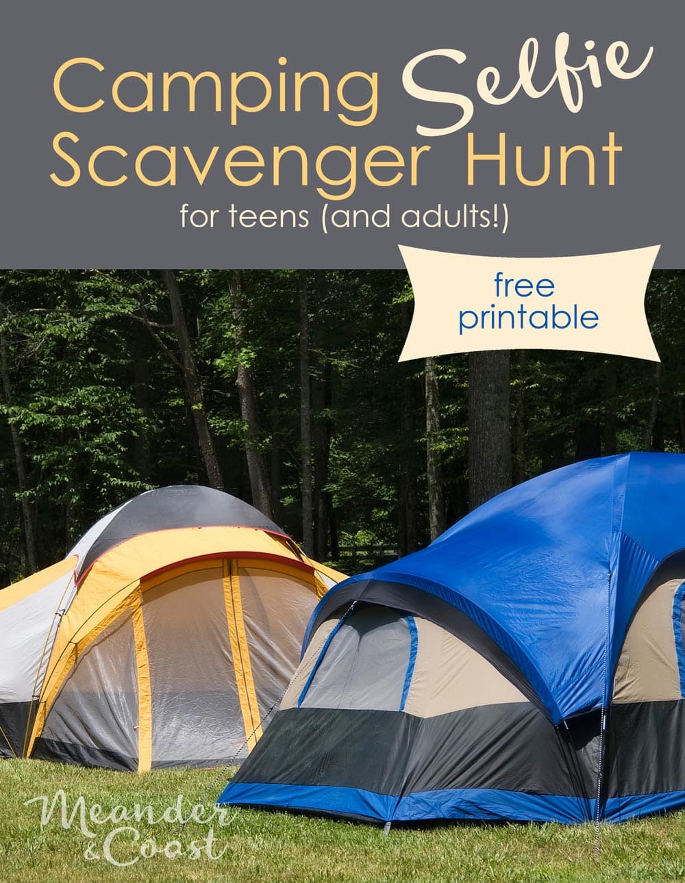 Awesome fun activity to keep teens occupied while camping! Free printable Camping Selfie Scavenger Hunt from Meander & Coast.