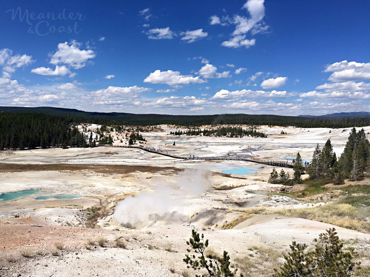 Norris Geyser Basin is home of hundreds of geysers, steam vents, mud pots, and the tallest geyser. | What to see in Yellowstone National Park that isn't Old Faithful. Meander & Coast #yellowstone #nationalpark #yellowstoneattractions #thingstosee #wyoming #norrisgeyserbasin